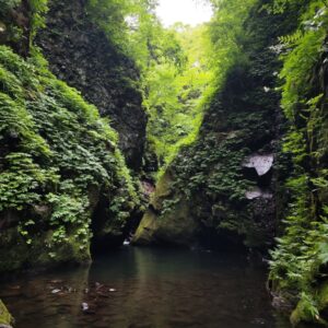 2026年6月20日 12:16
